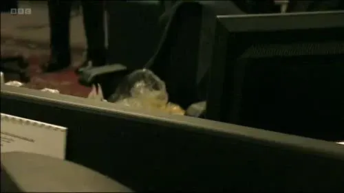 Screenshot: with the piss woman, right?