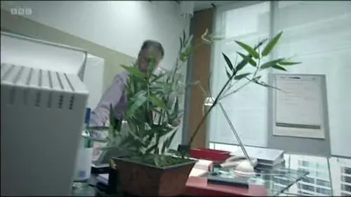 Screenshot: Is our e-mail up and running? No.