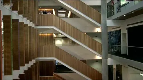 Screenshot: They're acoustic baffles,
they stop it getting too echoey.