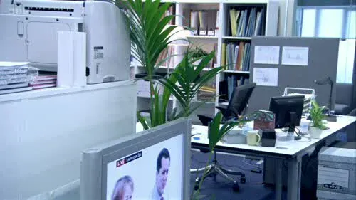 Screenshot: You're on TV live.