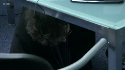 Screenshot: Anyway, what's the story, fuckanory?
What's been happening?