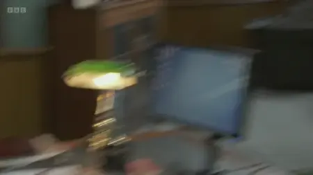 Screenshot: more than the Prime Minister, I mean, what do I expect next,