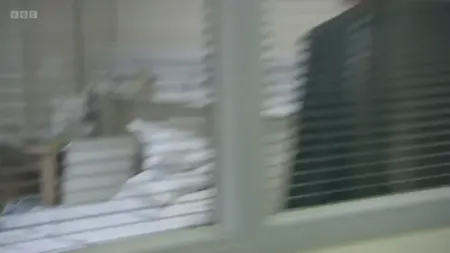 Screenshot: I'm no monkey, not any more. Things have changed there, right?