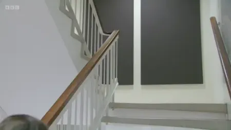 Screenshot: Oh, hang on. Mannion's calling for a wider inquiry.