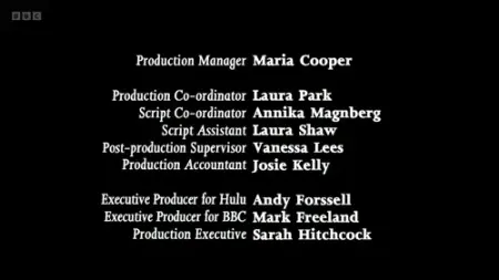 Screenshot: Perhaps it would be more accurate to describe myself