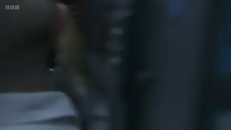 Screenshot: Quiet! Quiet! Quieten down!